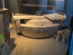 -北京派仕佳德动物医院·超导核磁·CT·神经科·骨科·内外科·急重症管理中心