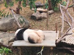 -南宁市动物园