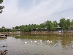 -河北村民俗体验园