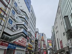 -秋叶原电器街