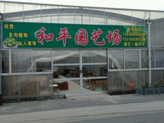 -龙大花卉苗木市场