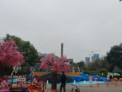 -南湖梦幻岛