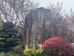 -昆山城市生态森林公园