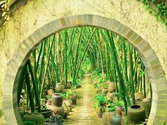 -美丽南方·老木棉匠园·团建烧烤·烤全羊