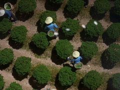 -中国茶叶博物馆(双峰馆区)