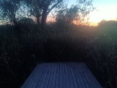 -马家湾湿地公园