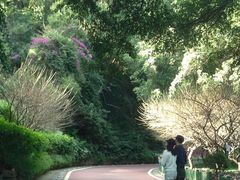 -金鸡山公园