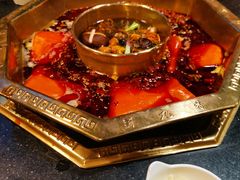 -蜀九香火锅(彩虹店)