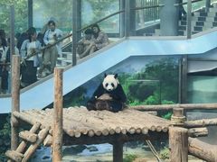 -大连森林动物园