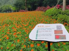 -顺峰山公园