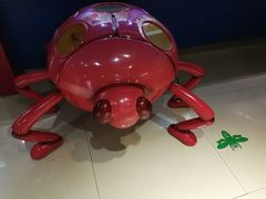 -上海昆虫博物馆