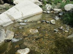 -碓臼峪自然风景区