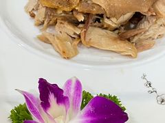 南阳烧鸡-南阳食府·河南豫菜(南阳驻京办店)