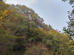 -金龙寺国家森林公园