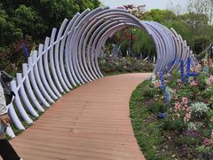 -上海鲜花港