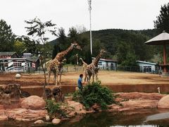 -大连森林动物园