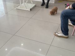 -全心全意连锁动物医院·微创中心·内科急重症·心脏专科(丰管路店)