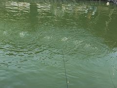 -DGE季风钓虾营地·团建·聚会