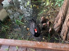 -昆山城市生态森林公园