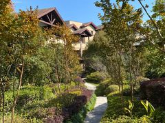 -浙江安吉JW万豪酒店·万豪中餐厅