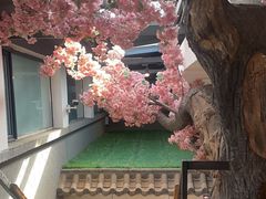 -缘福乡村铁锅炖民宿(八达岭店)