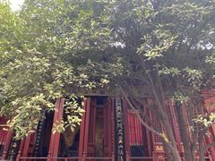 -洛阳白马寺