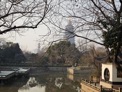 -红梅公园