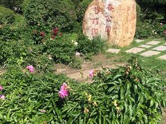 -长春公园(普阳街道)