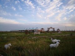 -敕勒川草原文化旅游区
