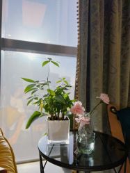 -北京米扬丽格医疗美容·联合丽格鼻整形中心