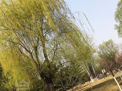 -济南植物园