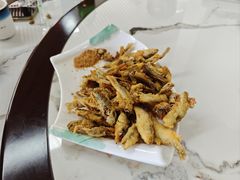 -途肴·老农饭庄(百里峡店)