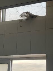 -逝水玩具折扣店