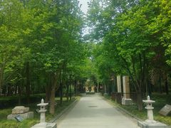-木塔寺遗址生态公园