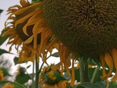 -长春公园(普阳街道)