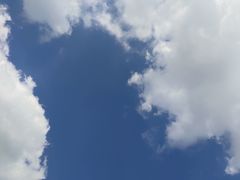 -九里河湿地公园