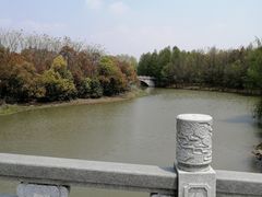 -上海海湾国家森林公园