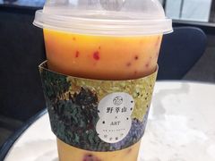 -野萃山·潮汕厚果汁(十亩地店)