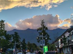 -白家寨子·山野白族菜(古城总店)