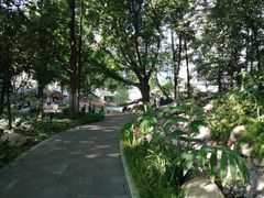 -成都市活水公园