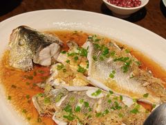 -大连君悦酒店·星海湾壹号Dalian·Dalian(星海广场店)