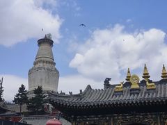 -五台山风景名胜区