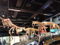 -墨尔本博物馆(Melbourne Museum)