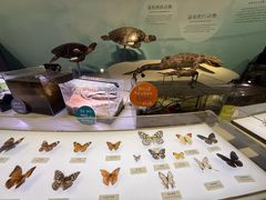 -中国湿地博物馆