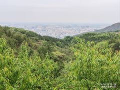 -北京西山国家森林公园