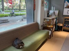 -御宝贝·A梦猫科宠物医院(国际猫友好医院)