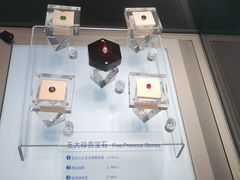 -安徽省地质博物馆