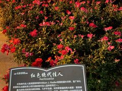 -广州白云国际机场-T2航站楼