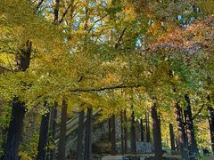 -阳台山自然风景区