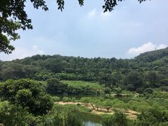 -南国桃园旅游度假区